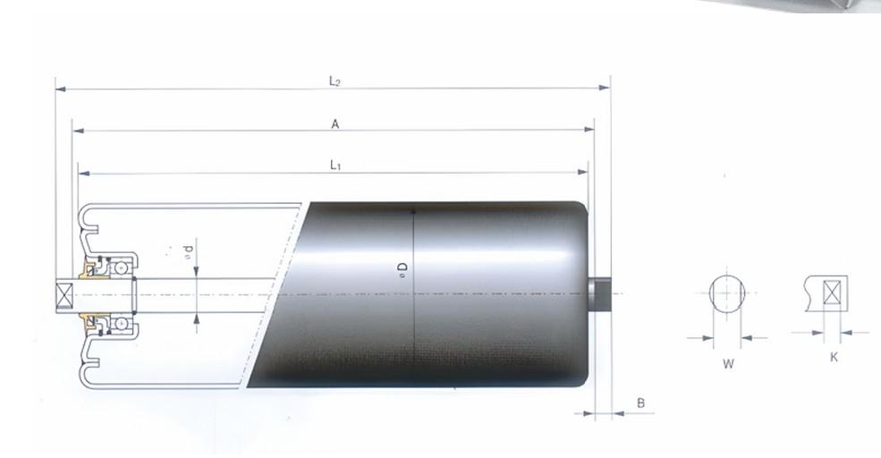 Carrier Roller